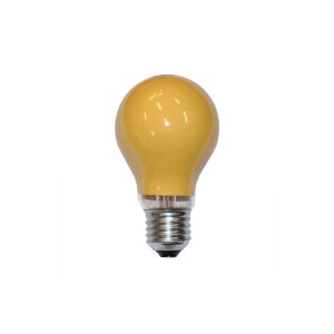 LEDmaxx Glühlampe 15W E27 ORANGE
