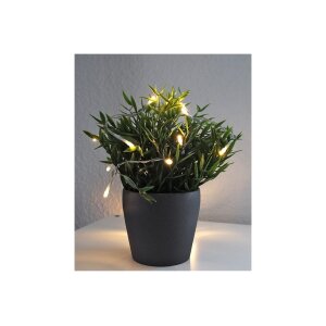 LED Dekolichterkette warmweiß – 20 LEDs, 2 m, Batteriebetrieb