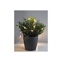 LED Dekolichterkette warmweiß – 20 LEDs, 2 m, Batteriebetrieb