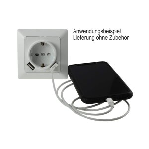 DELPHI Steckdose mit USB, reinweiß, 250V~, 2x USB...