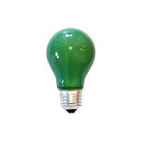 LEDmaxx Glühlampe 15W E27 GRÜN