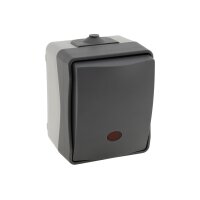 ChiliTec Kontrollschalter mit Licht IP54 Feuchtraum Aufputz 250V~/ 10A 2300W gummierte Kabeleinführung 77x62x55mm Grau