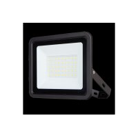 LED-Fluter REV "Eco+" anthrazit 30W, 3300lm, 6500K, IP65