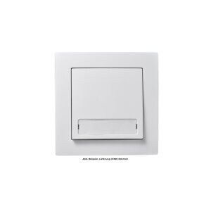 Taster McPower Flair mit Namensschild, 250V~/10A, UP,...