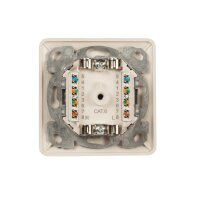 Cat.6 Datendose Unterputz 2xRJ45 oben/unten | 250 MHz | RAL9010